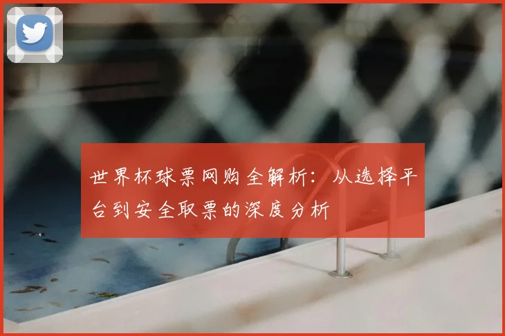 世界杯球票网购全解析：从选择平台到安全取票的深度分析