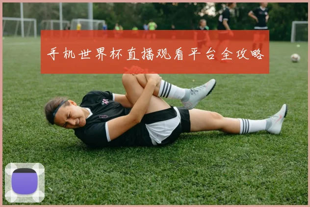 手机世界杯直播观看平台全攻略